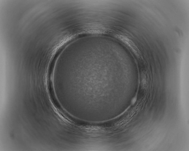 X0000115610677200911101428