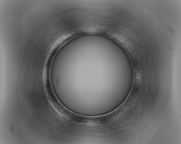 X0000115610678200911101428