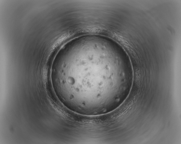 X0000115610679200911101427