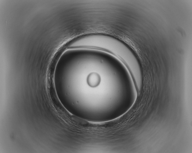 X0000115610680200911101427