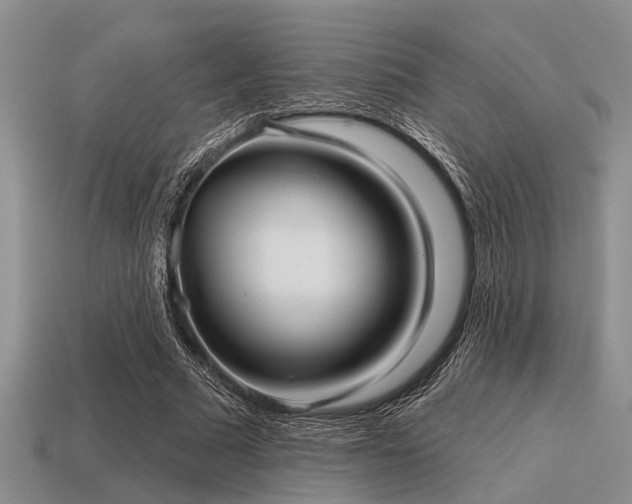 X0000115610681200911101427