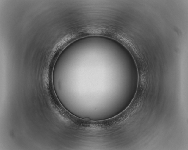 X0000115610682200911101427