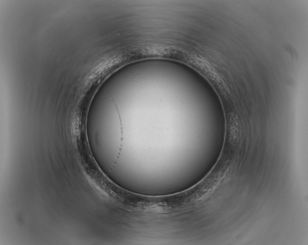 X0000115610683200911101427