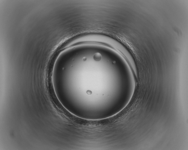 X0000115610684200911101427