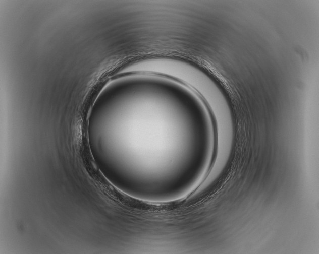 X0000115610685200911101427