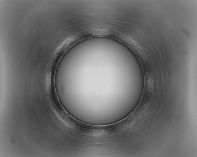 X0000115610686200911101427