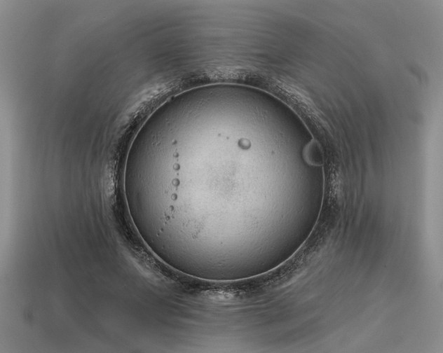 X0000115610687200911101427