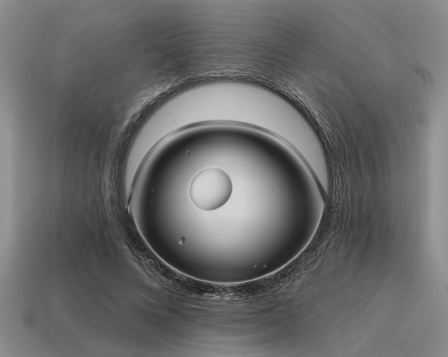 X0000115610688200911101427