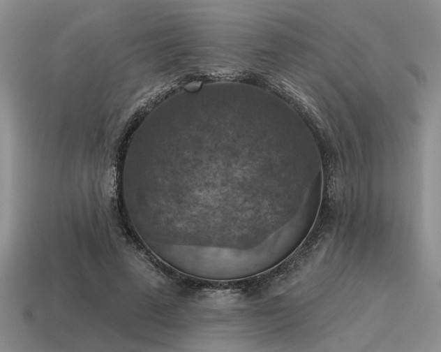 X0000115610689200911101427