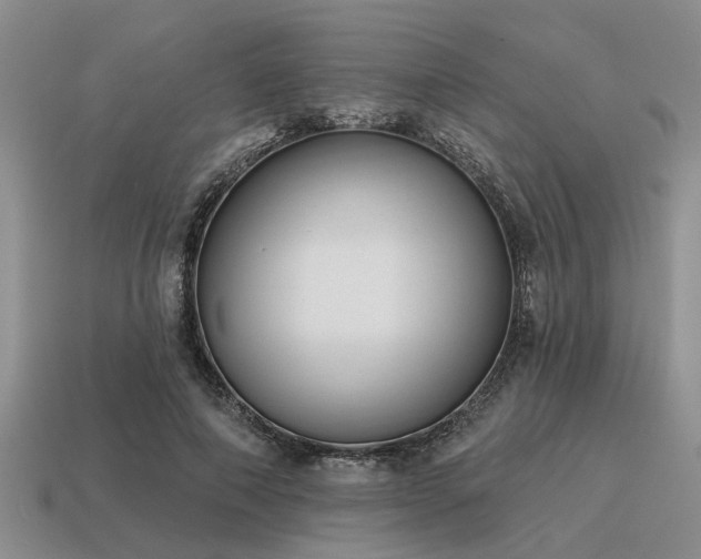 X0000115610690200911101427