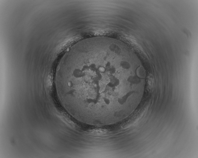 X0000115610691200911101427