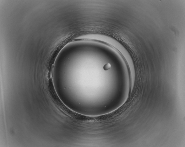 X0000115610692200911101427