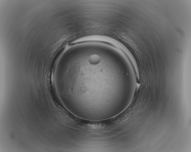 X0000115610693200911101427