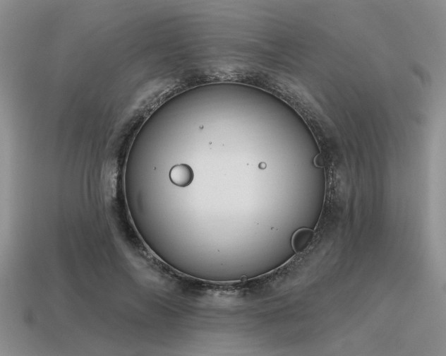 X0000115610694200911101427