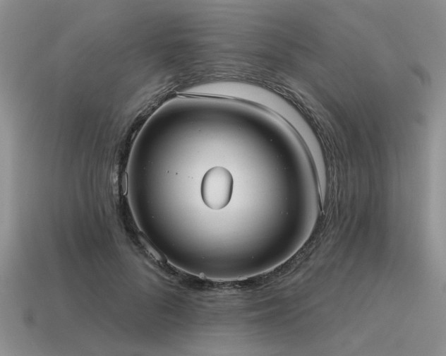 X0000115610696200911101427