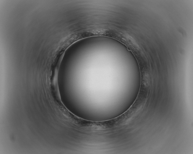 X0000115610697200911101427