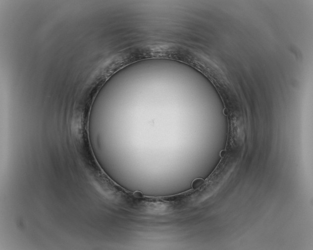 X0000115610698200911101427