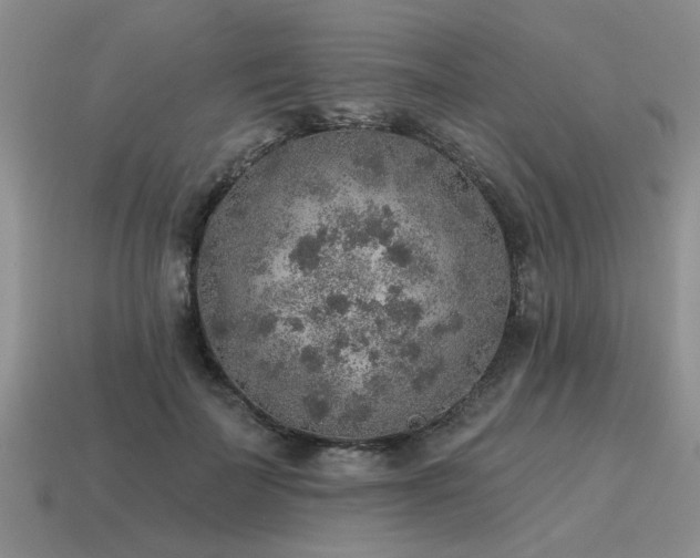 X0000115610699200911101427