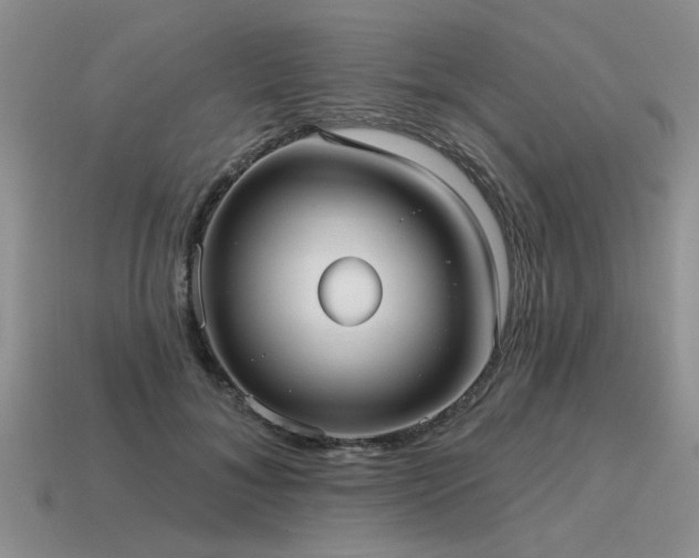 X0000115610700200911101427