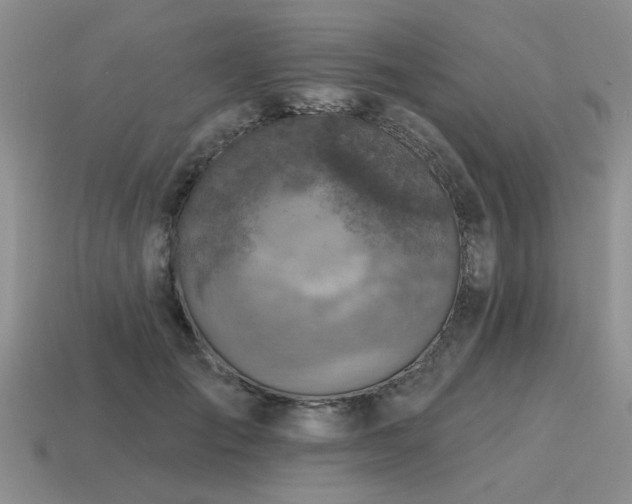 X0000115610701200911101427