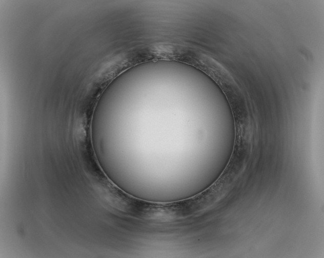 X0000115610702200911101427