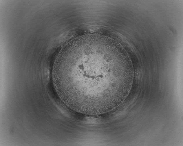 X0000115610703200911101427