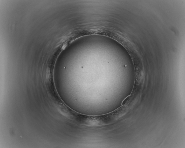 X0000115610704200911101427