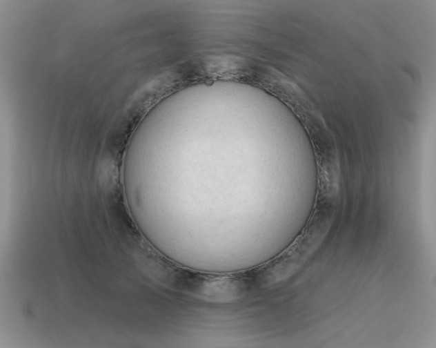 X0000115610705200911101427