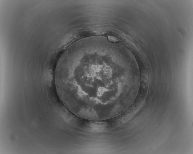 X0000115610707200911101427