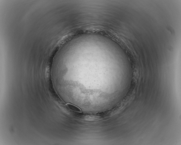 X0000115610708200911101427