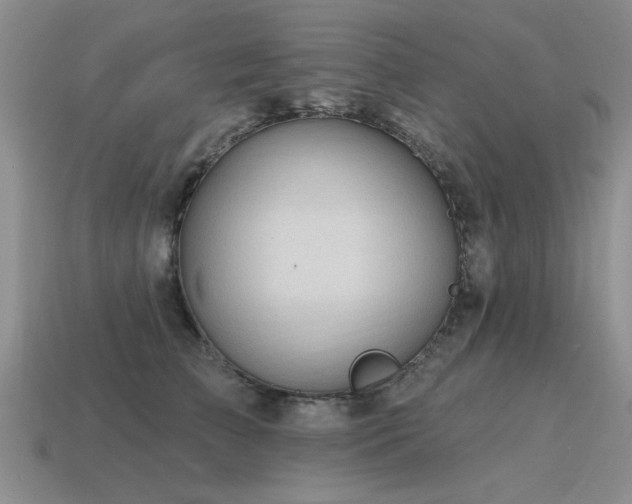 X0000115610709200911101427