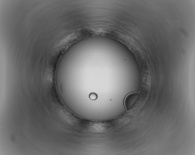 X0000115610710200911101427