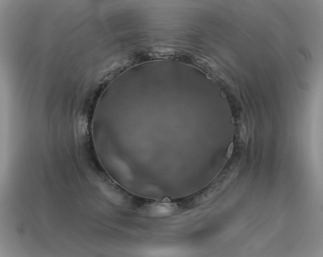 X0000115610711200911101427