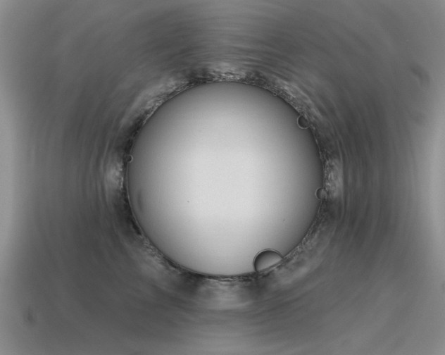 X0000115610713200911101427