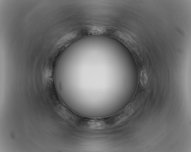 X0000115610714200911101427