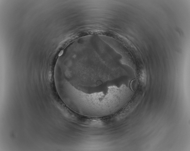 X0000115610715200911101427