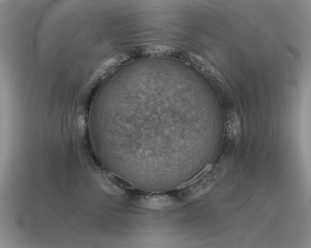 X0000115610716200911101427