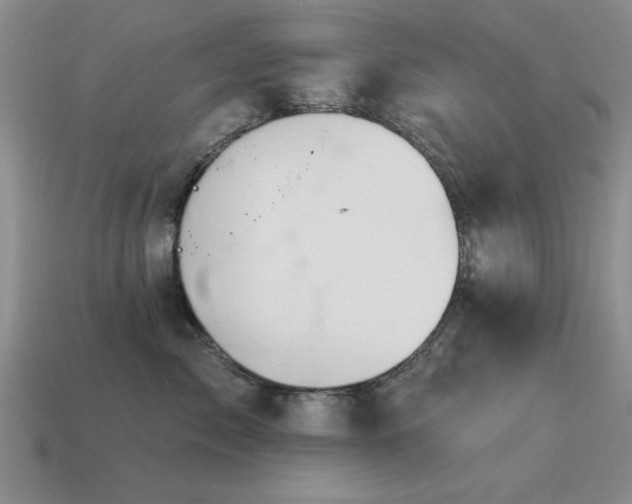 X0000115610717200911101427