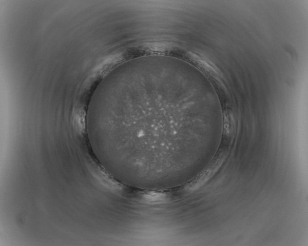 X0000115610718200911101427