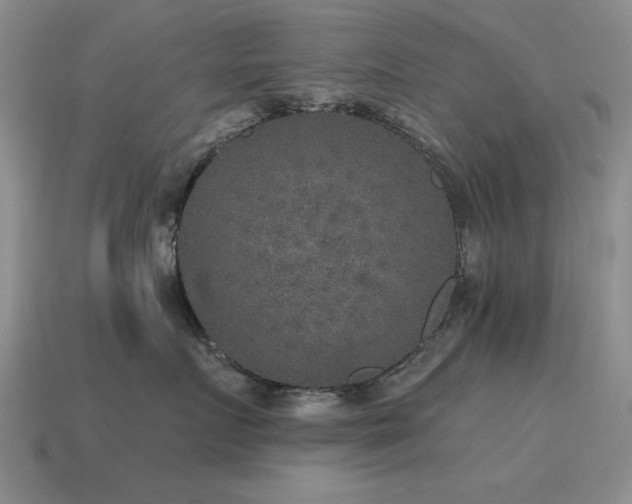 X0000115610719200911101427