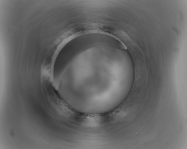 X0000115610720200911101427