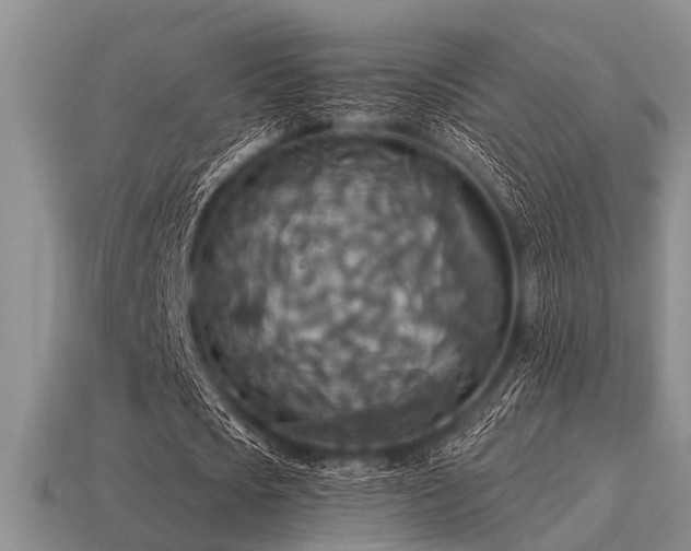 X0000115610721200911101426