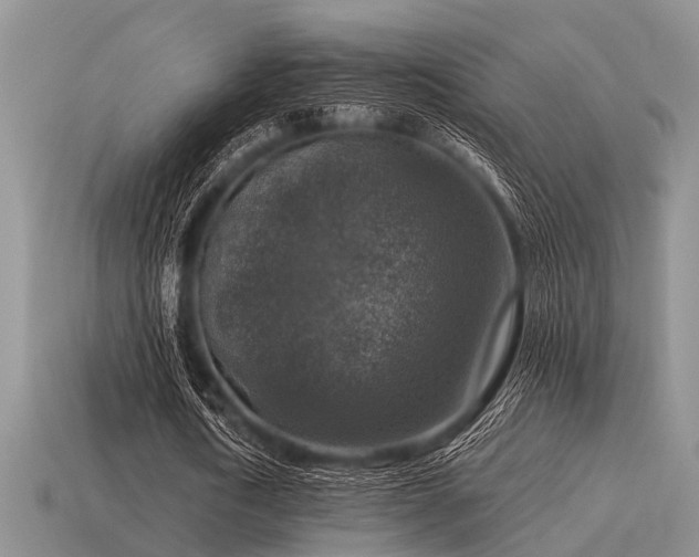 X0000115610722200911101426