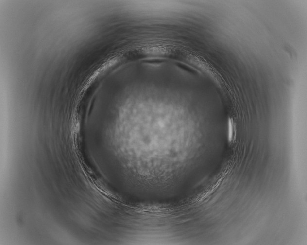 X0000115610723200911101426