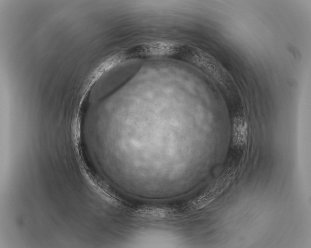 X0000115610726200911101426