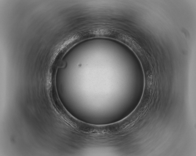 X0000115610727200911101426