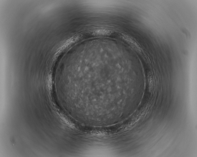 X0000115610729200911101426