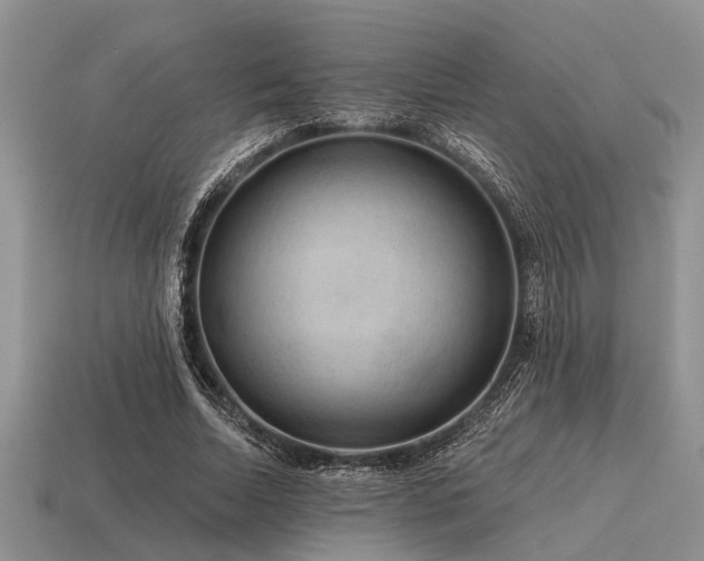 X0000115610730200911101426