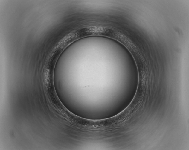 X0000115610731200911101426