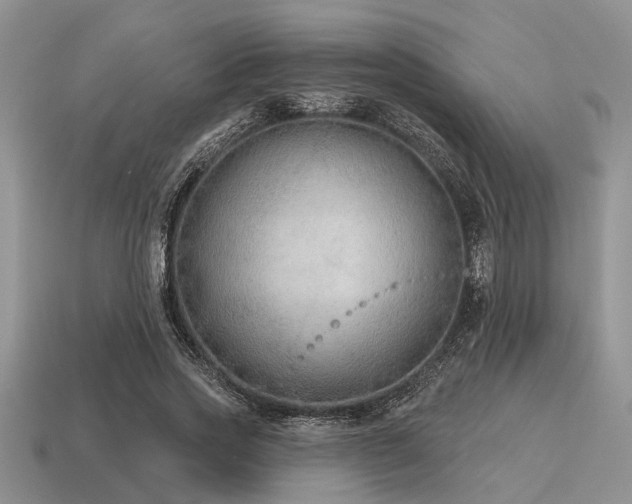 X0000115610733200911101427